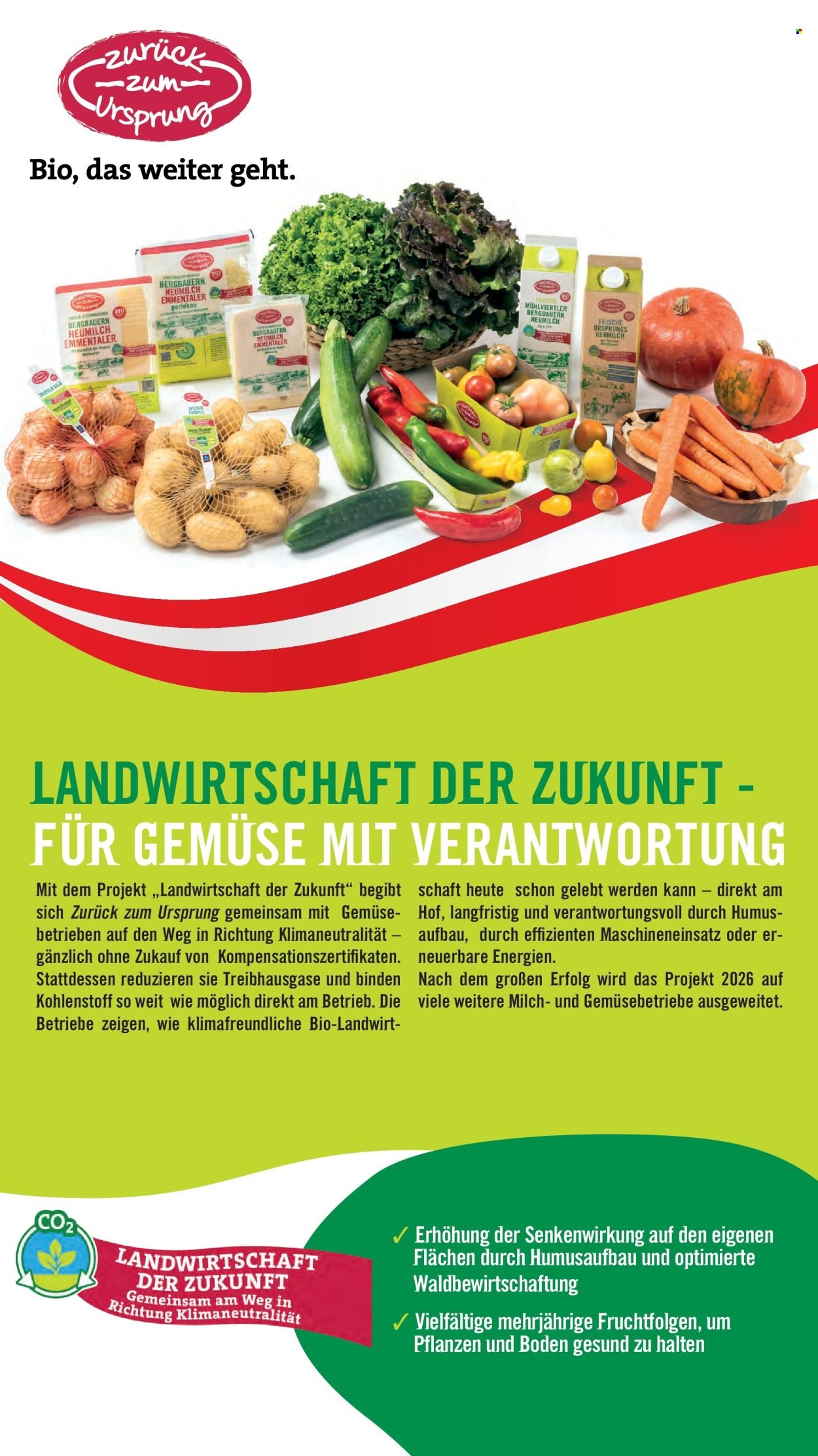 HOFER Flugblatt - Ab Freitag, 12.9.2025 (2025-09-12 - 2025-09-18)