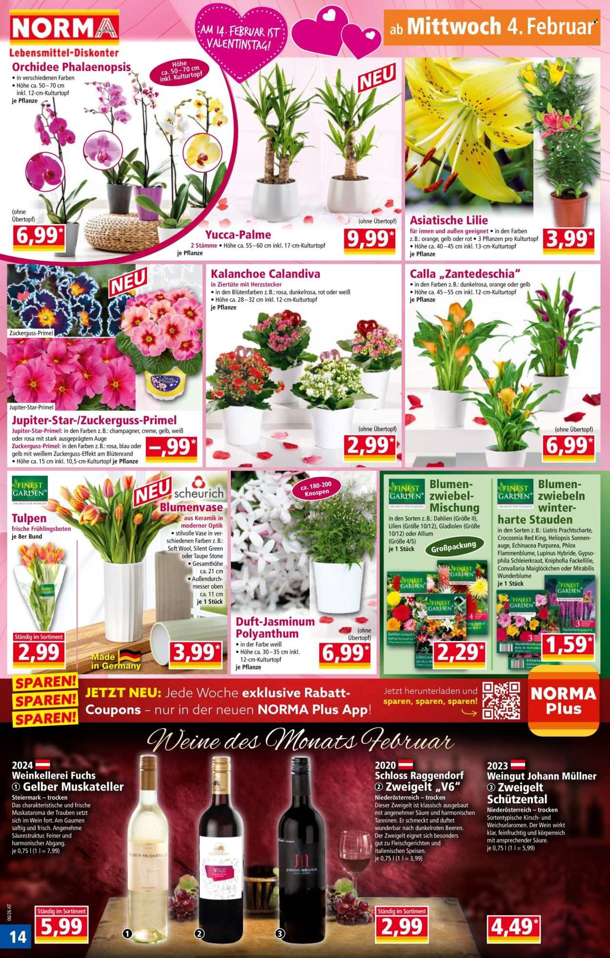 NORMA Flugblatt - Ab Montag, 2.2.2026