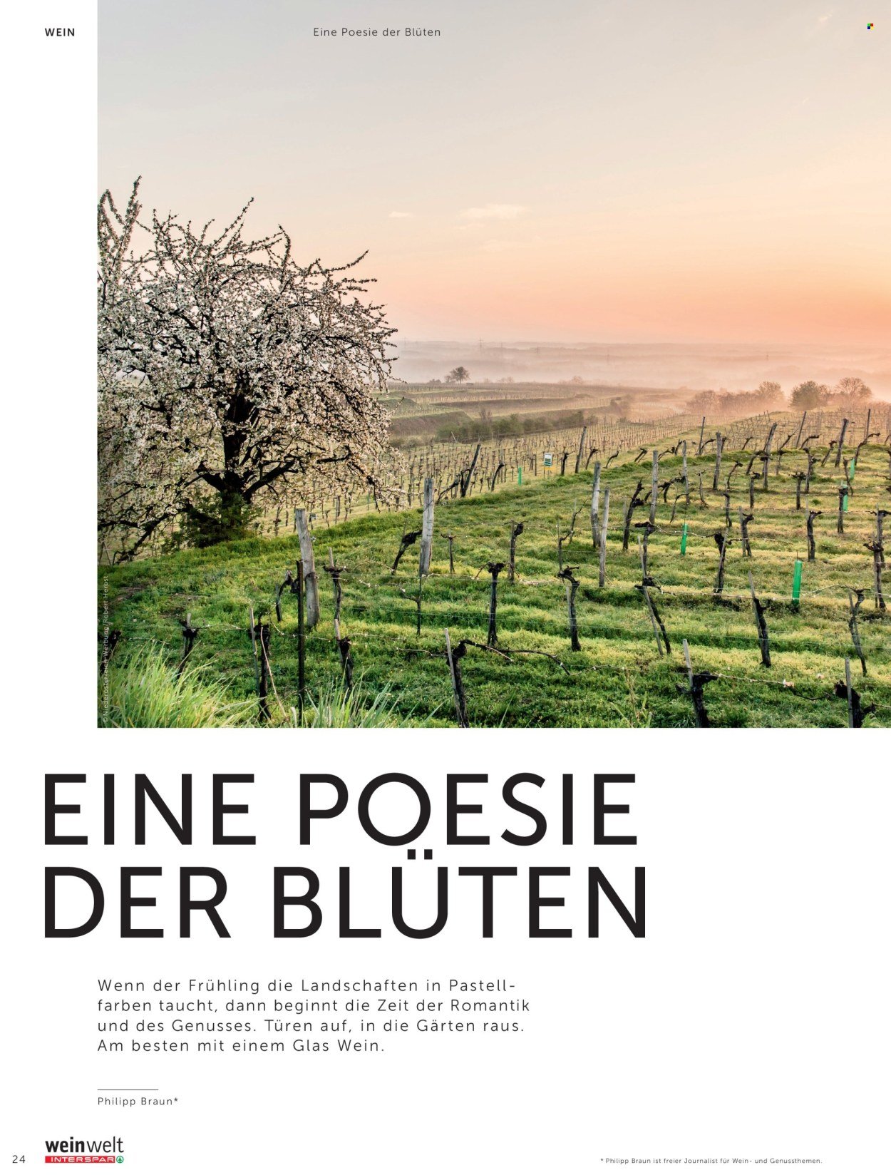 INTERSPAR Flugblatt - Weinwelt Magazin Fruhling (2026-03-05 - 2026-06-10) | 24