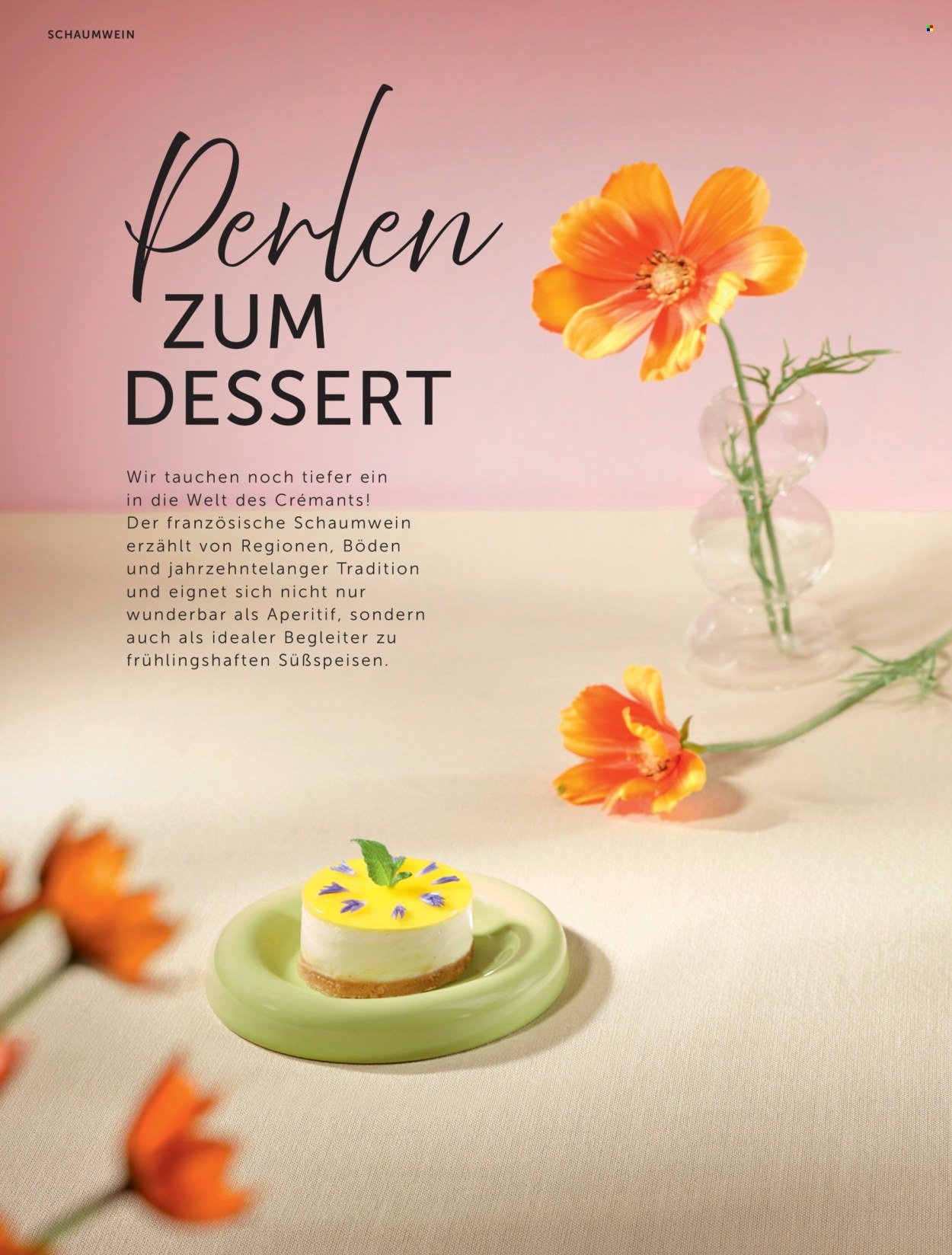 INTERSPAR Flugblatt - Weinwelt Magazin Fruhling (2026-03-05 - 2026-06-10) | 42