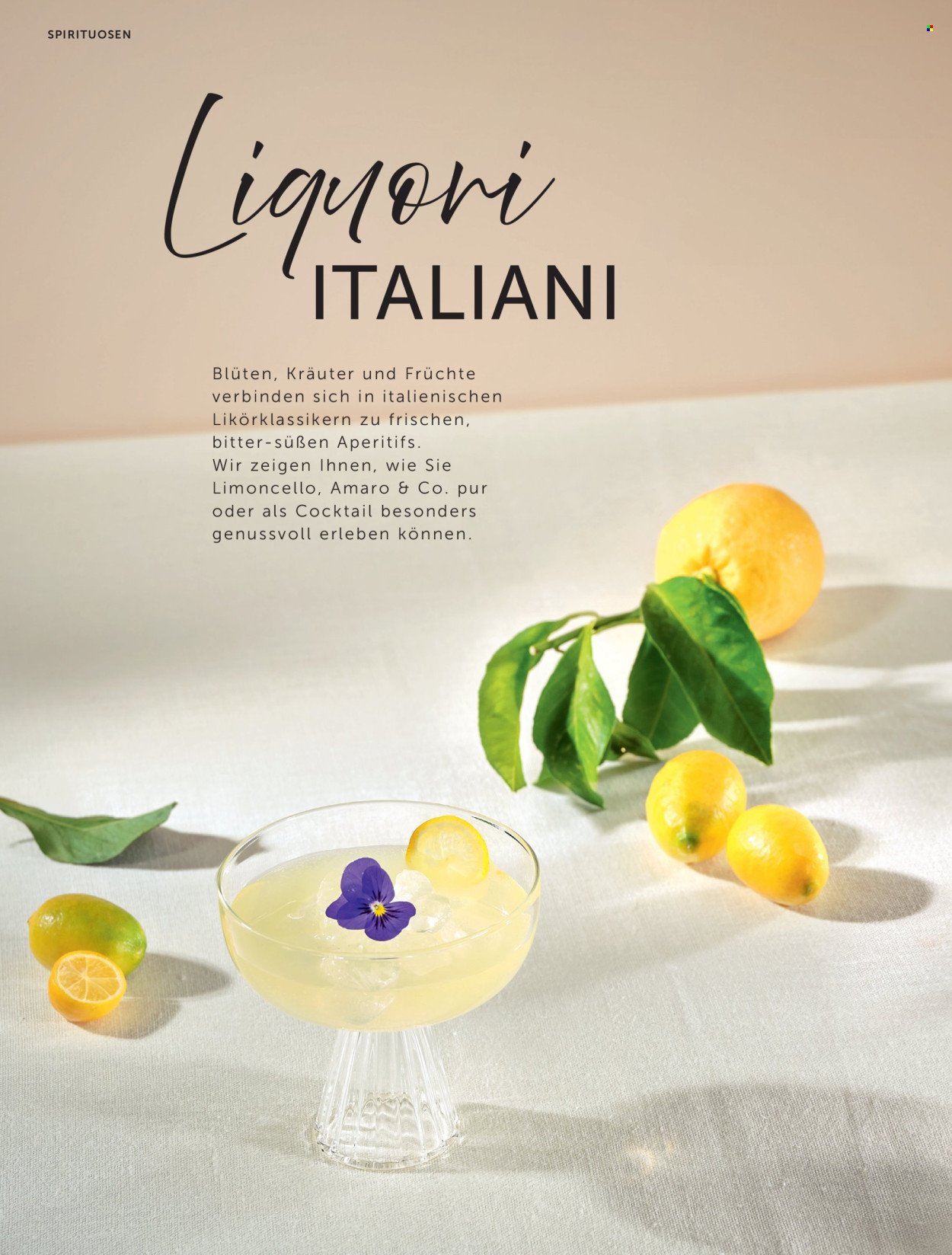 INTERSPAR Flugblatt - Weinwelt Magazin Fruhling (2026-03-05 - 2026-06-10) | 50