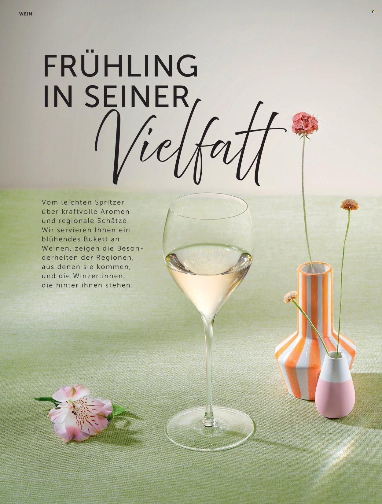 INTERSPAR Flugblatt - Weinwelt Magazin Fruhling (2026-03-05 - 2026-06-10) | 6