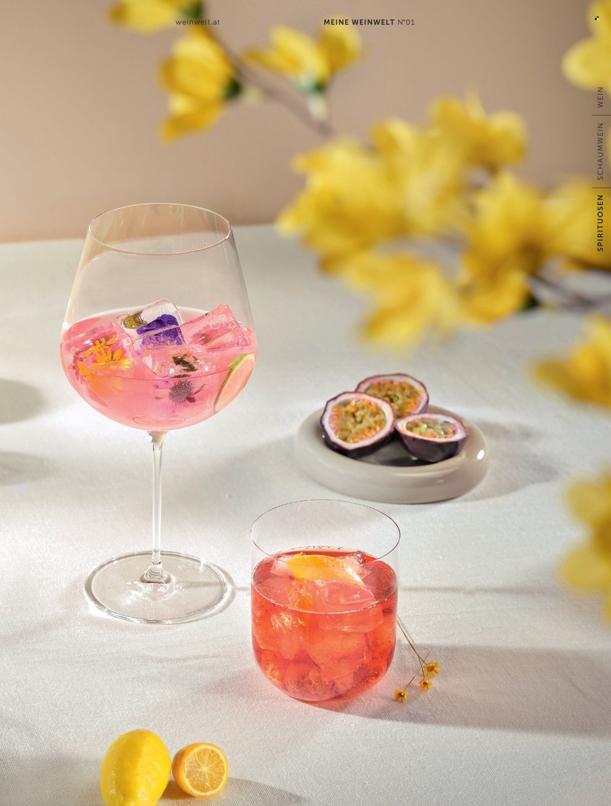 INTERSPAR Flugblatt - Weinwelt Magazin Fruhling (2026-03-05 - 2026-06-10) | 51