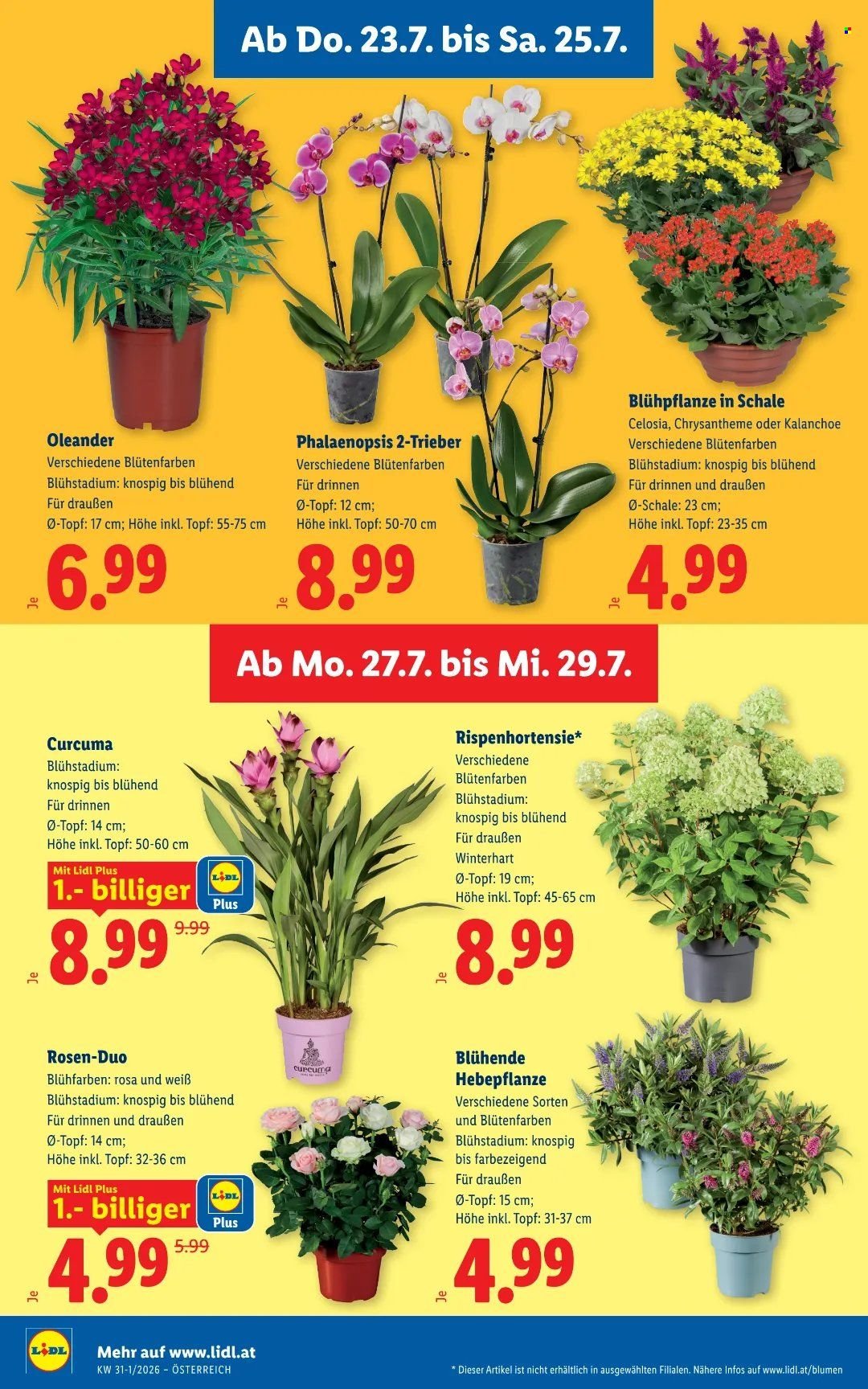 LIDL Flugblatt - Ab Donnerstag, 23.7.2026