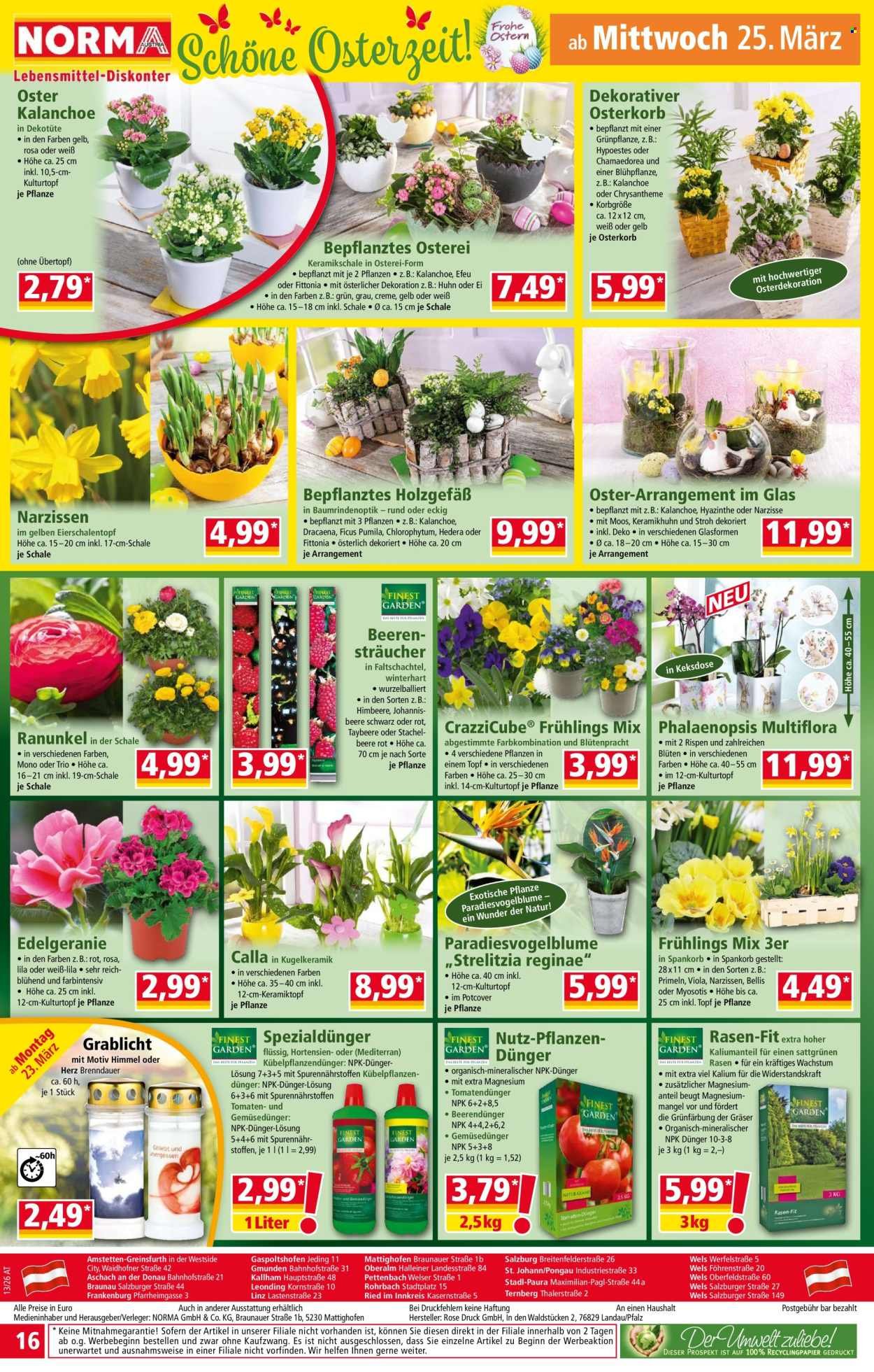 NORMA Flugblatt - Ab Montag, 23.3.2026