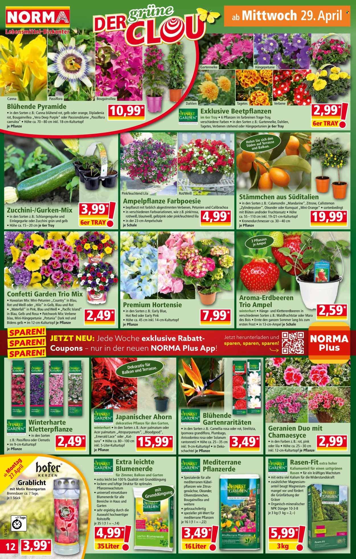 NORMA Flugblatt - Ab Montag, 27.4.2026
