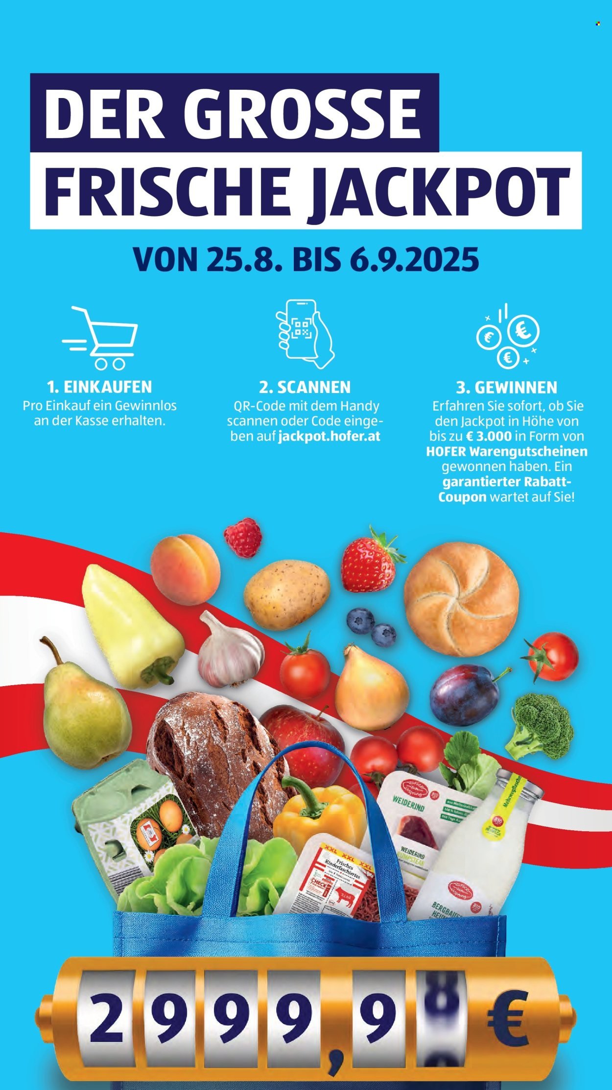 HOFER Flugblatt - Ab Freitag, 29.8.2025 (2025-08-29 - 2025-09-04)