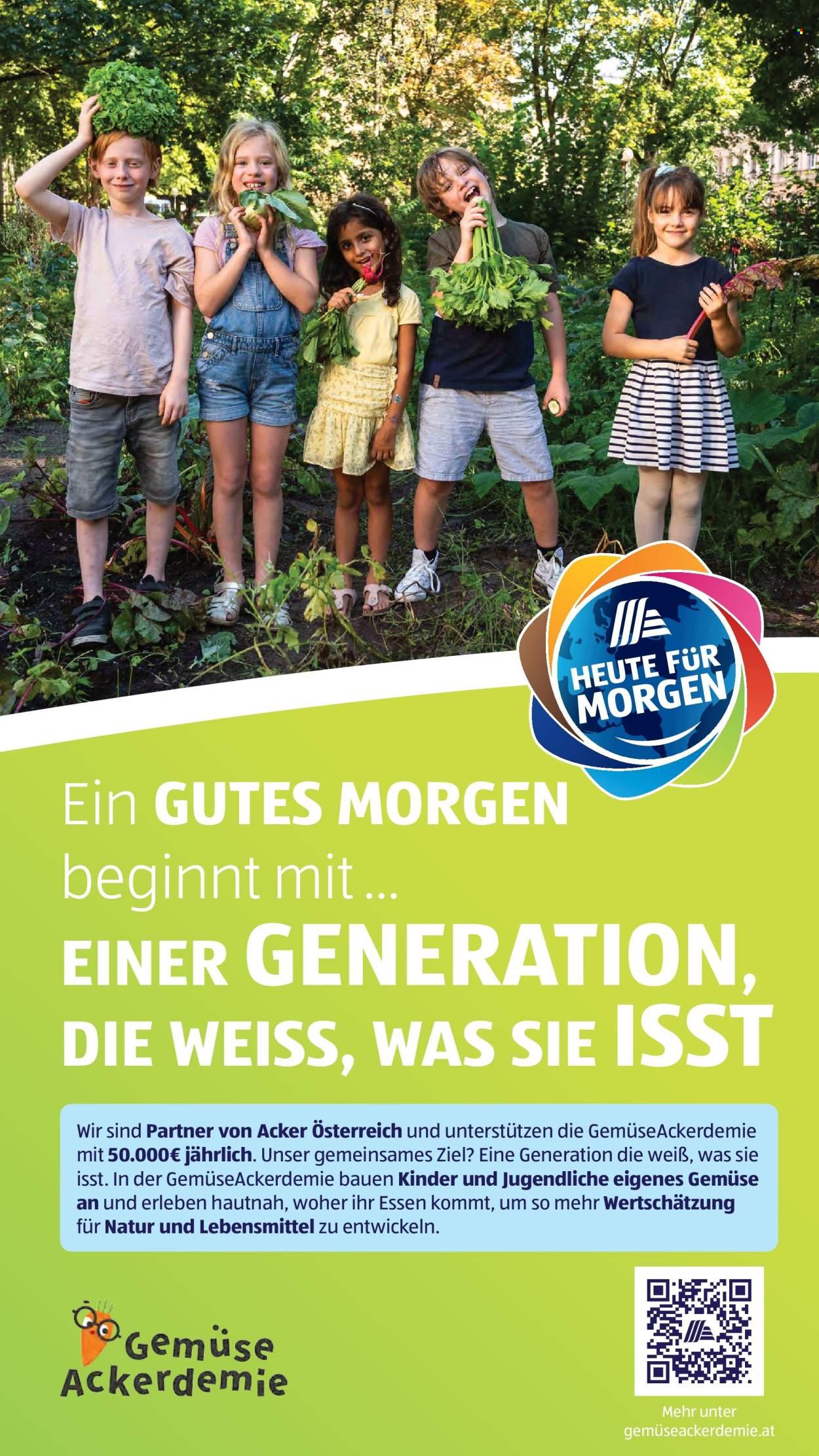HOFER Flugblatt - Ab Freitag, 29.8.2025 (2025-08-29 - 2025-09-04)