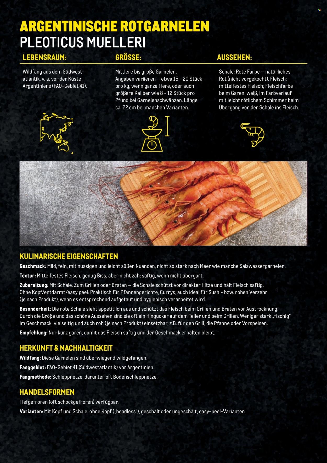 METRO Flugblatt - Garnelen Folder