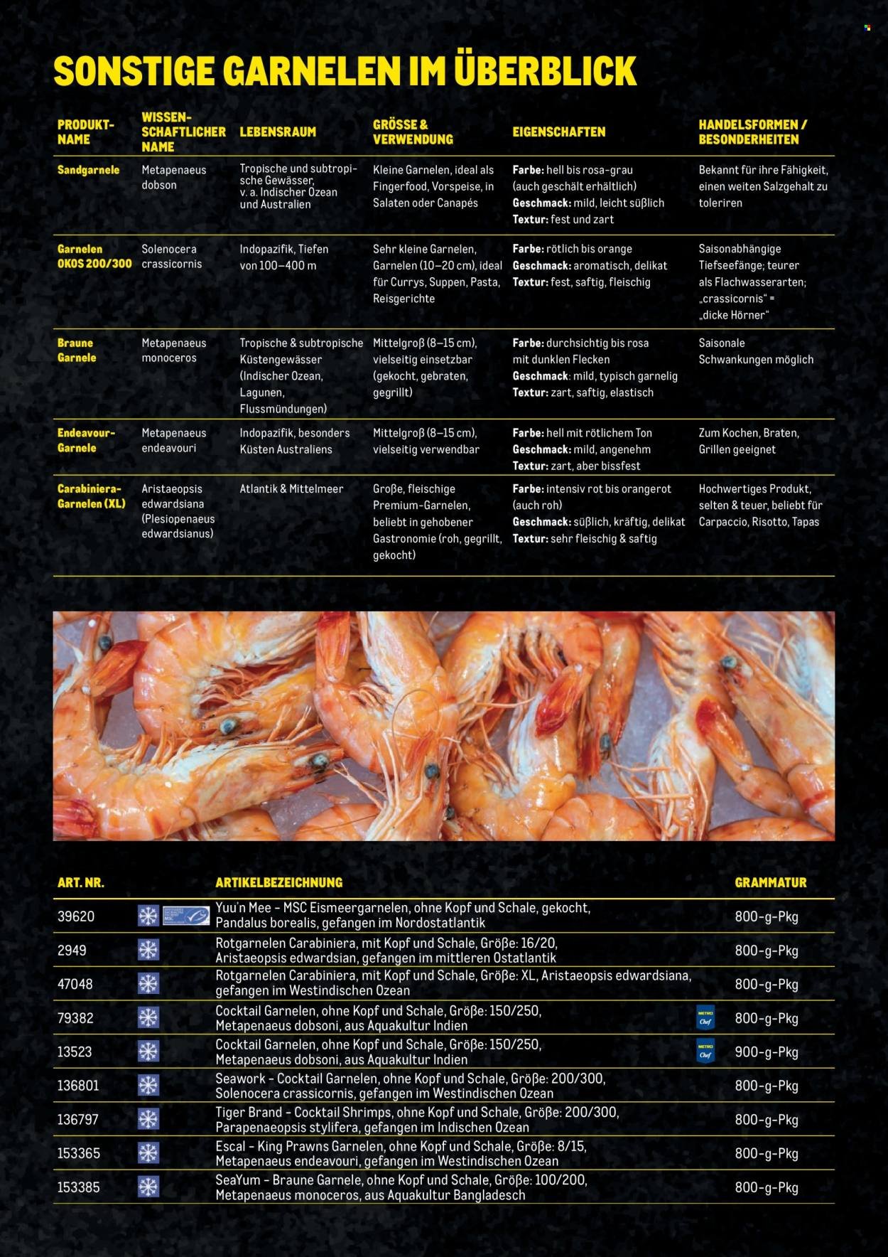 METRO Flugblatt - Garnelen Folder