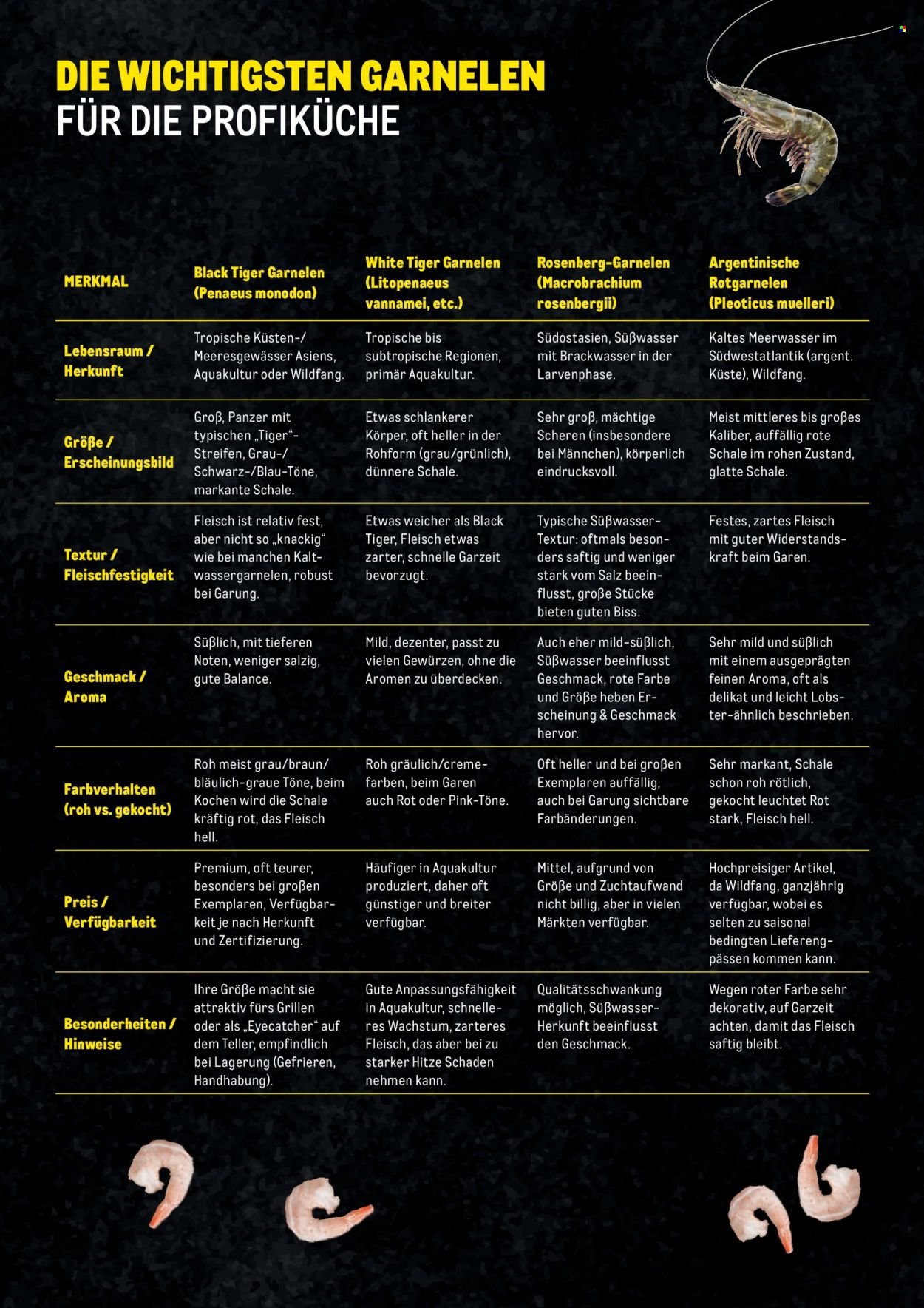 METRO Flugblatt - Garnelen Folder