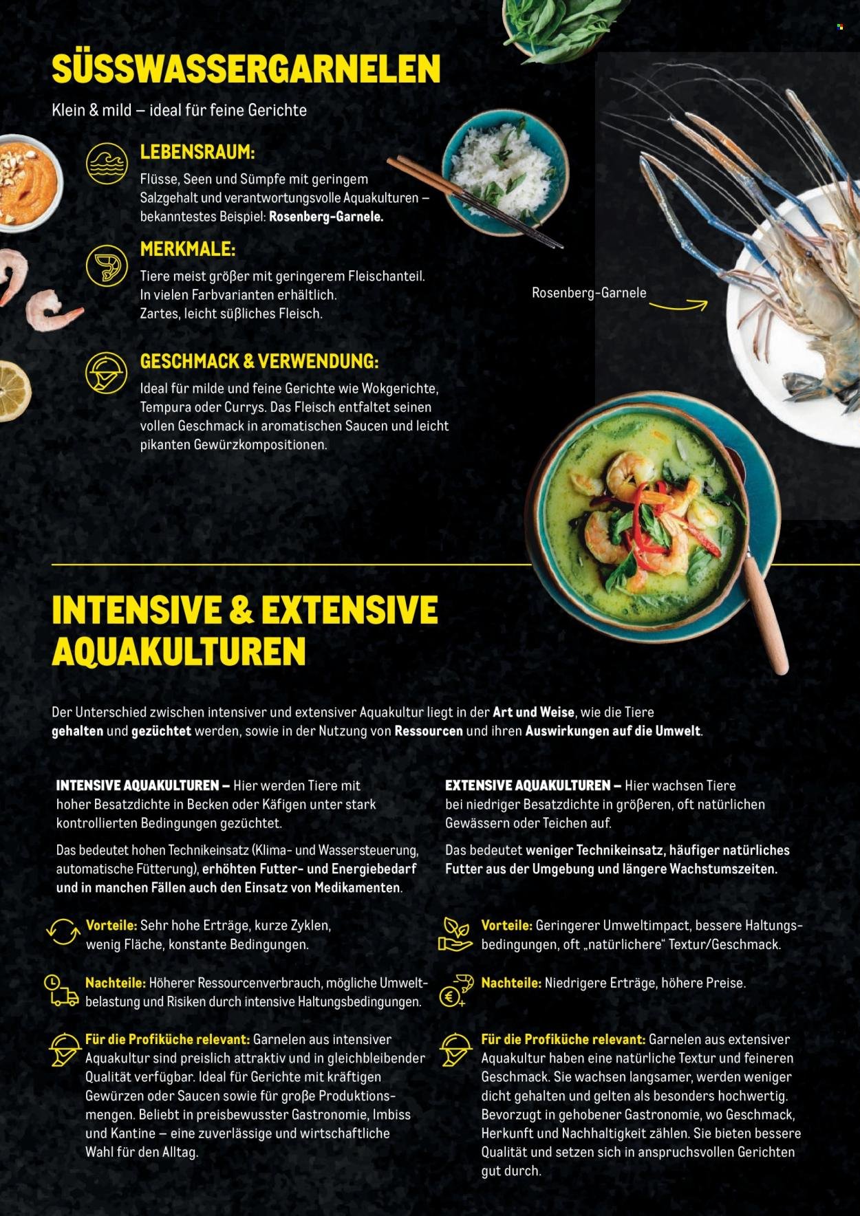 METRO Flugblatt - Garnelen Folder