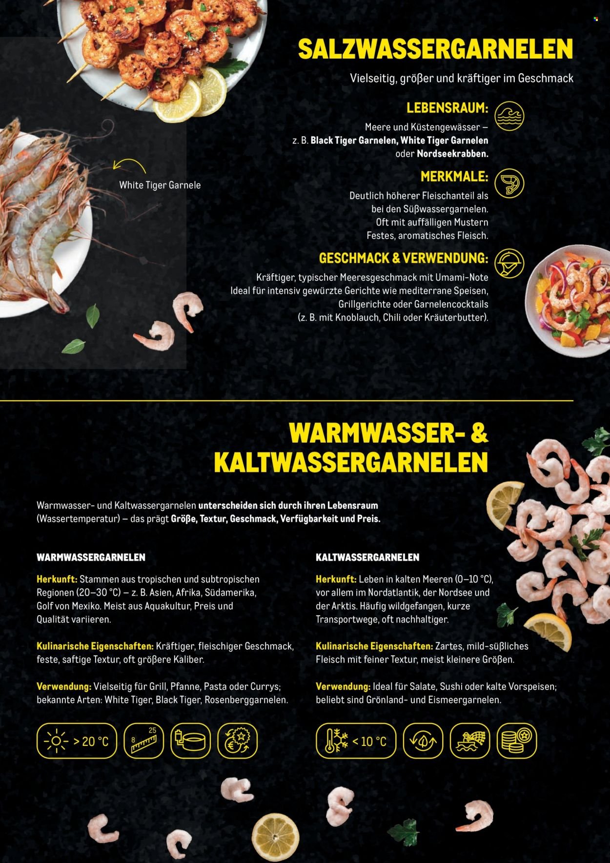 METRO Flugblatt - Garnelen Folder