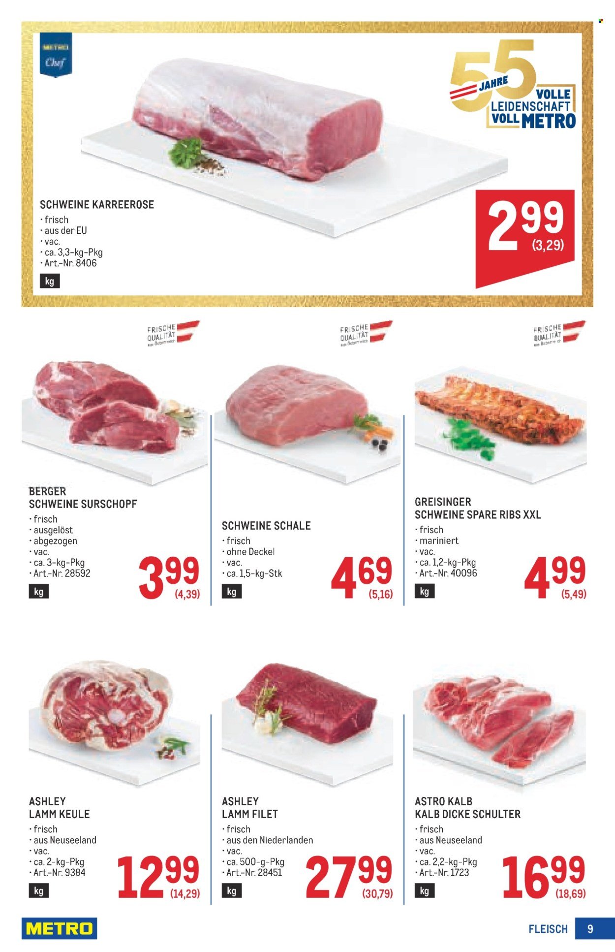 METRO Flugblatt - Profi