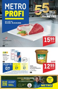 METRO Flugblatt - Profi