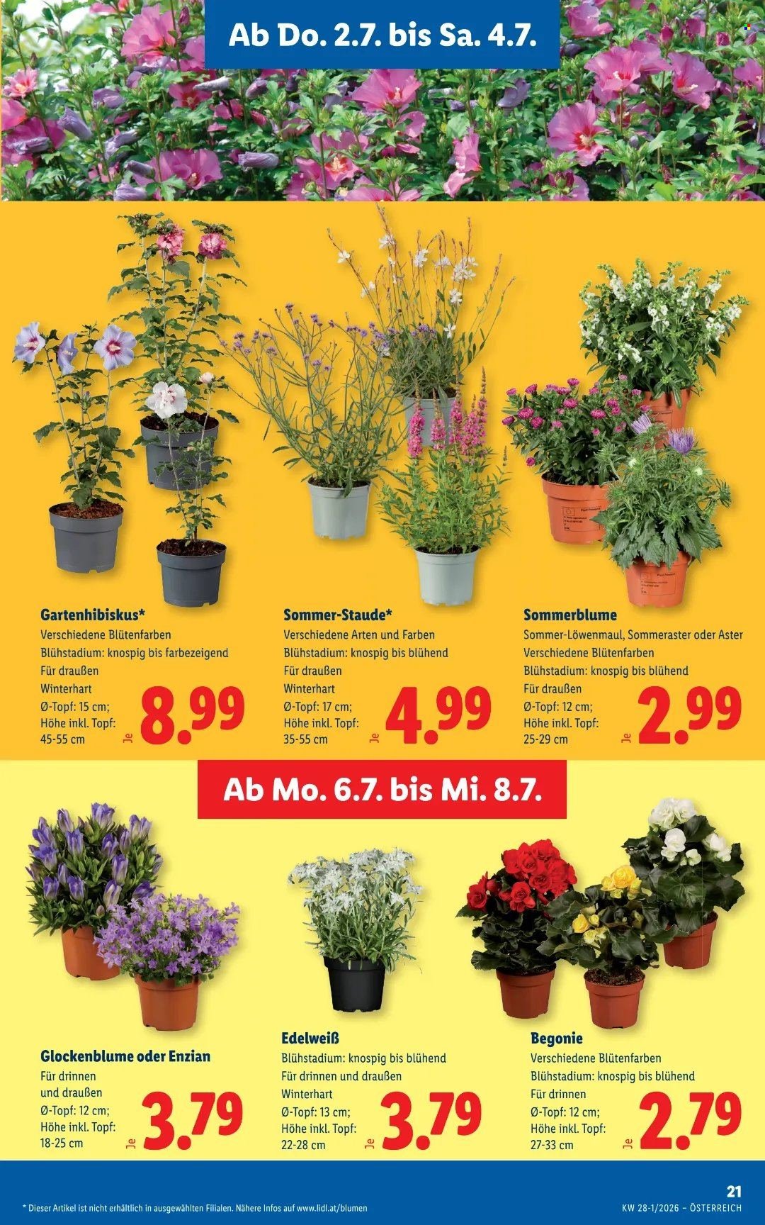 LIDL Flugblatt - Ab Donnerstag, 2.7.2026