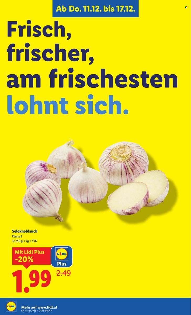 LIDL Flugblatt - Ab Donnerstag, 11.12.2025