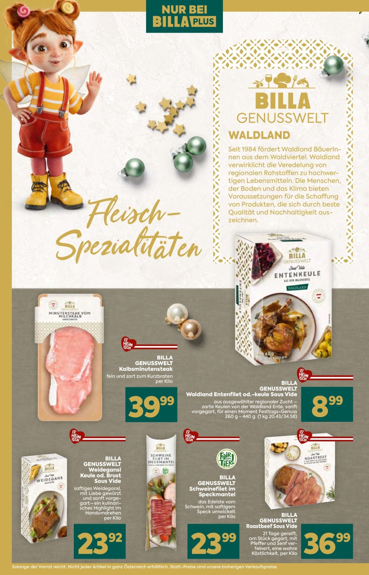 BILLA Flugblatt - Ab Donnerstag, 13.11.2025 (2025-11-13 - 2025-12-31)