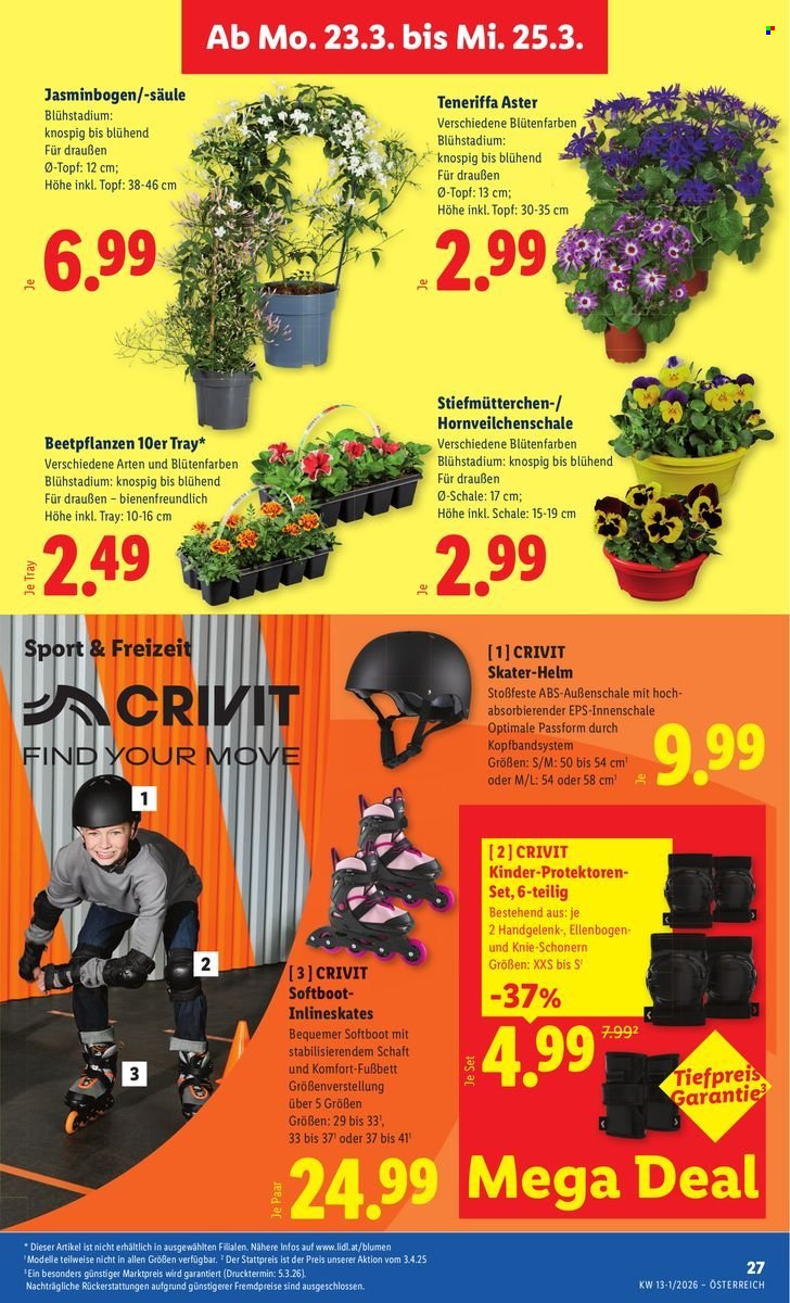 LIDL Flugblatt - Ab Donnerstag, 19.3.2026 (2026-03-19 - 2026-03-25) | 30