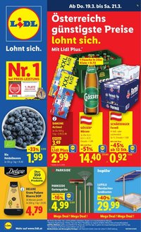 LIDL Flugblatt - Ab Donnerstag, 19.3.2026