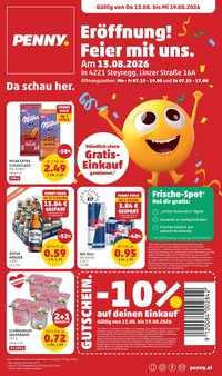 PENNY Flugblatt - Ab Donnerstag, 13.8.2026
