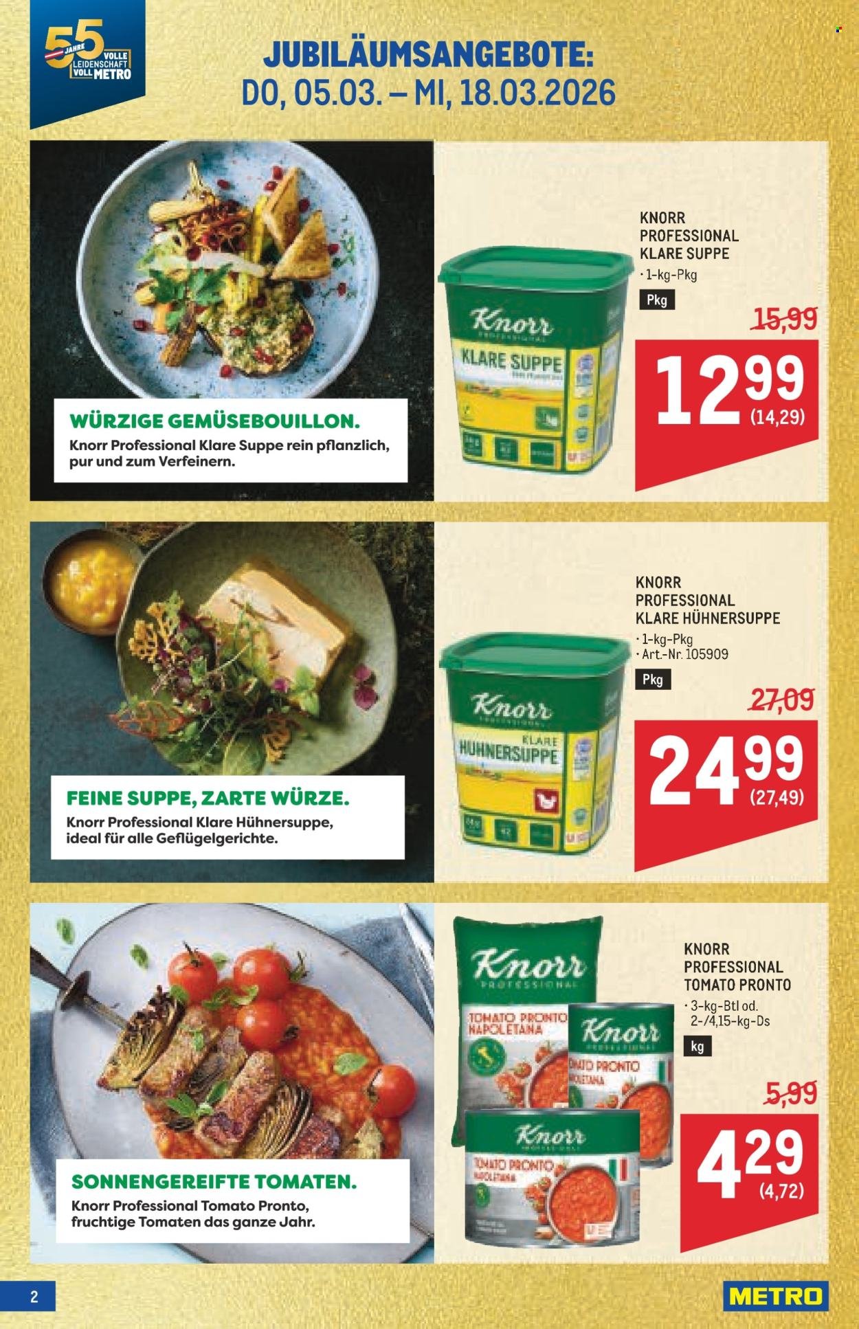 METRO Flugblatt - Profi