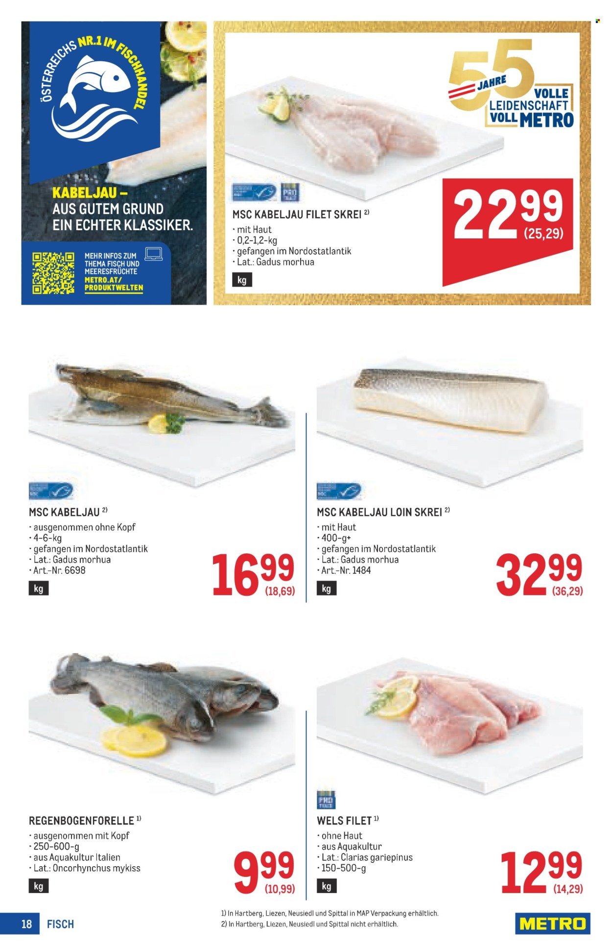 METRO Flugblatt - Profi