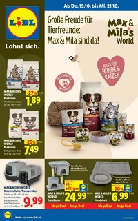 LIDL Flugblatt - Ab Donnerstag, 15.10.2026