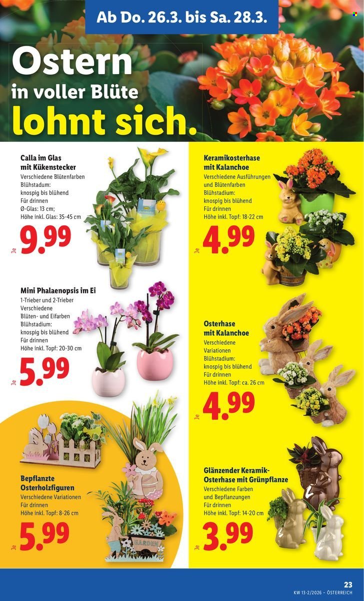 LIDL Flugblatt - Ab Donnerstag, 26.3.2026