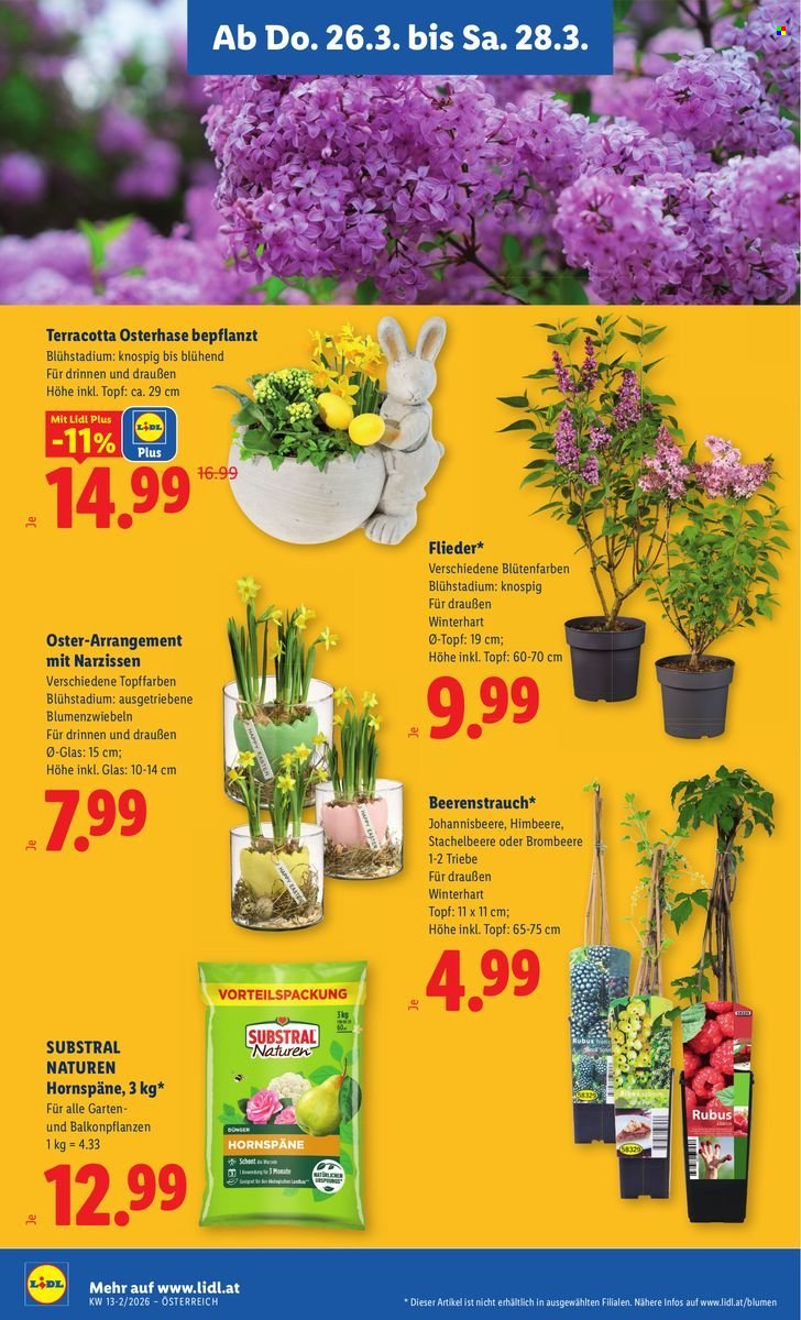 LIDL Flugblatt - Ab Donnerstag, 26.3.2026
