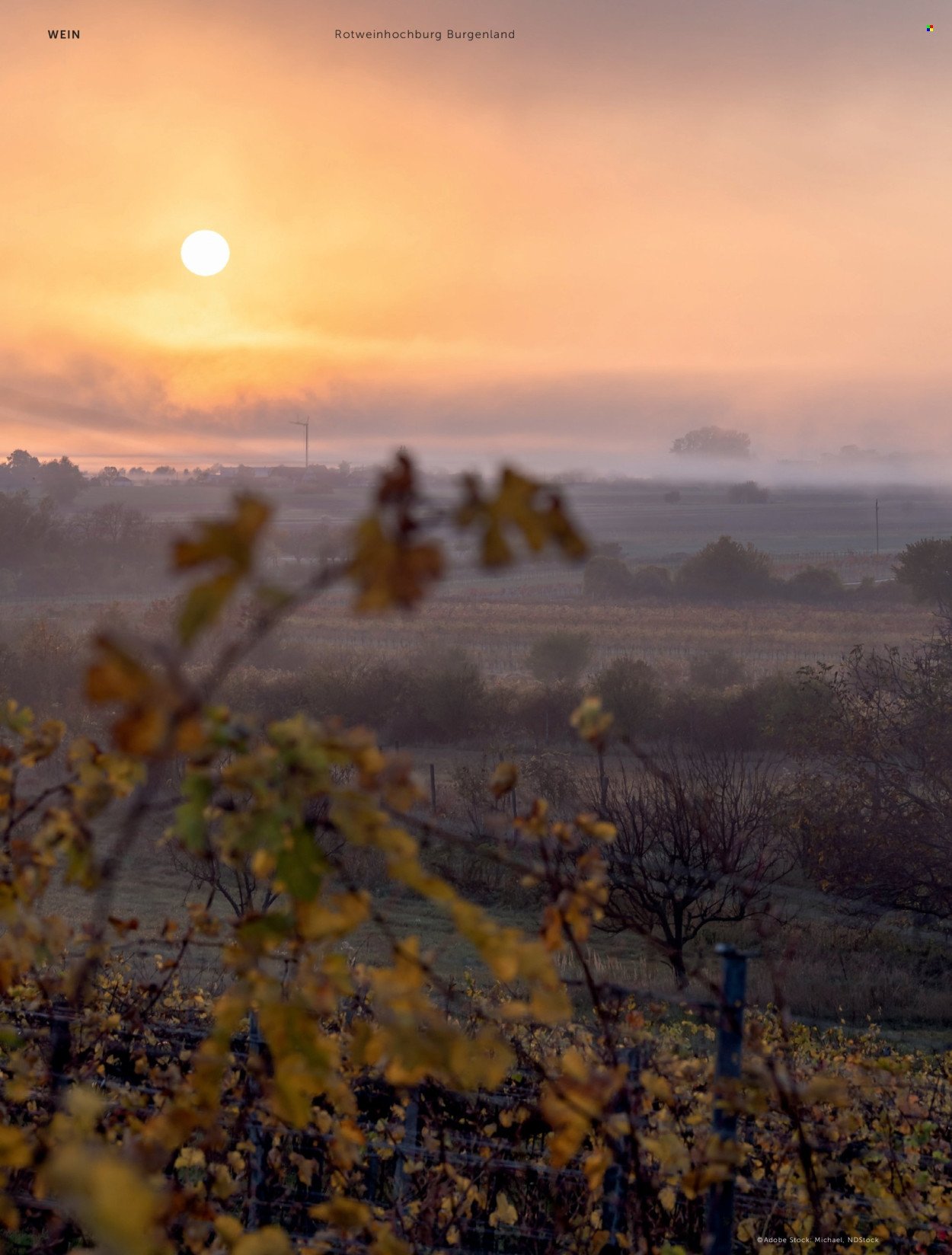 INTERSPAR Flugblatt - Weinwelt Magazin Winter (2025-12-15) | 22