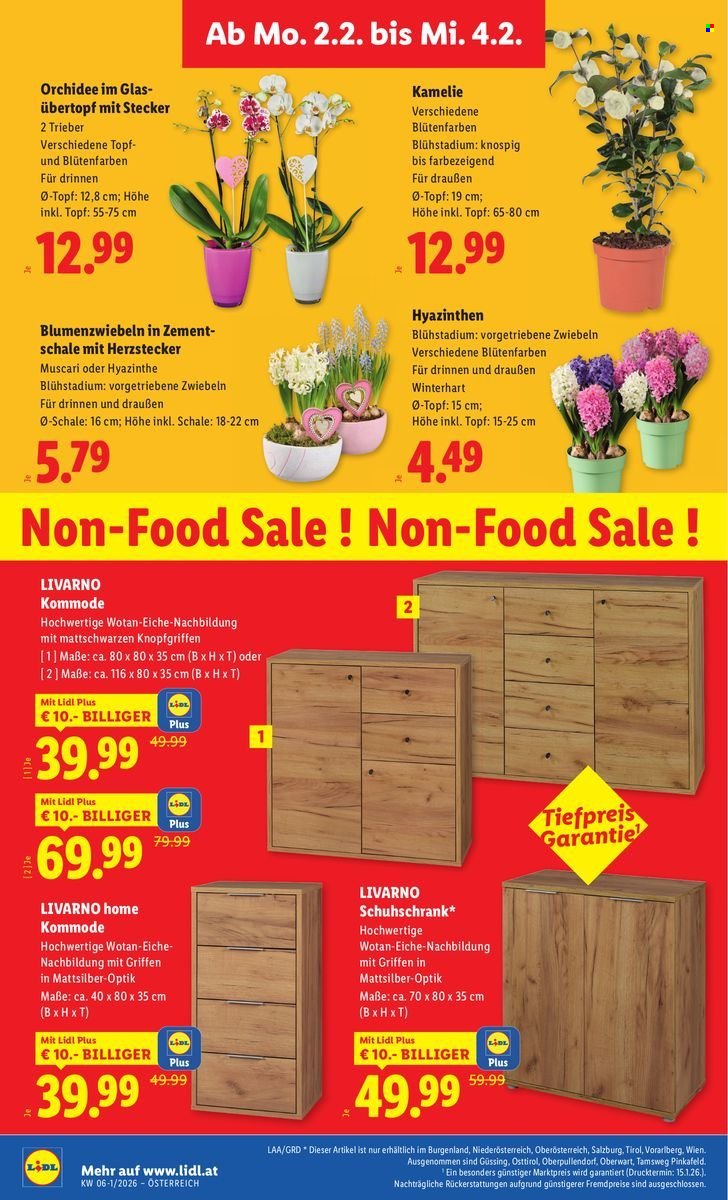 LIDL Flugblatt - Ab Donnerstag, 29.1.2026