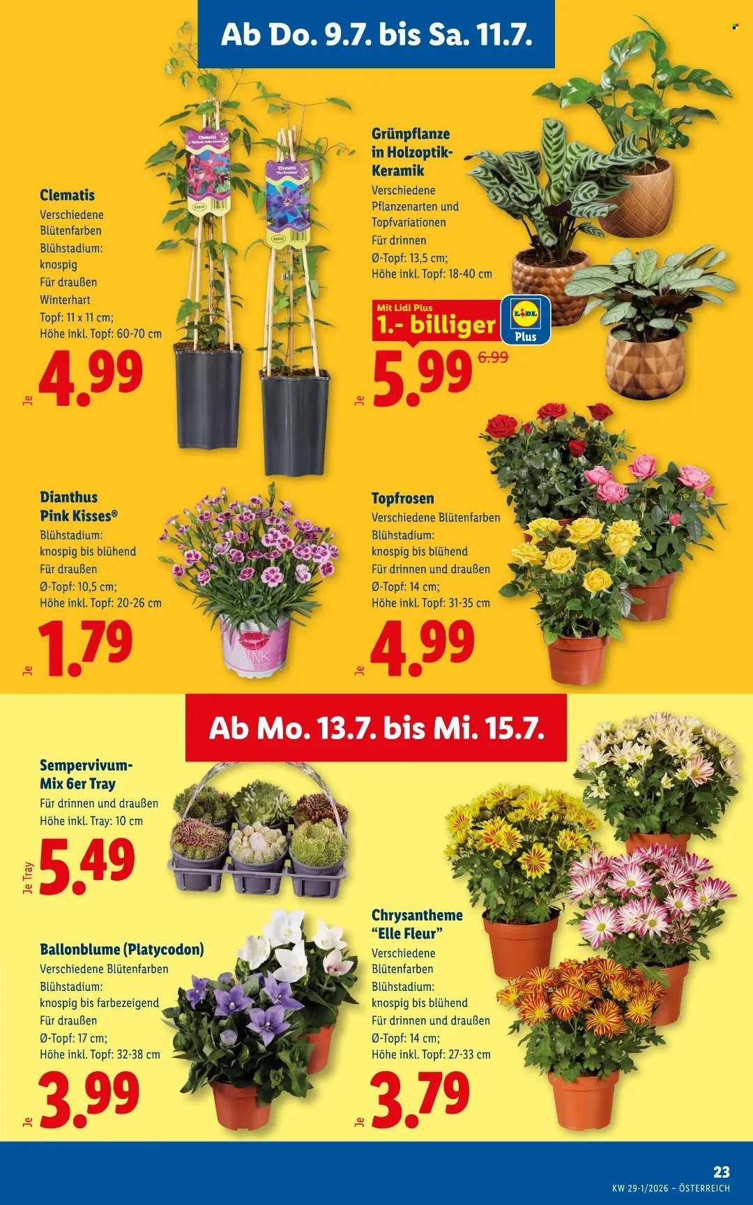 LIDL Flugblatt - Ab Donnerstag, 9.7.2026