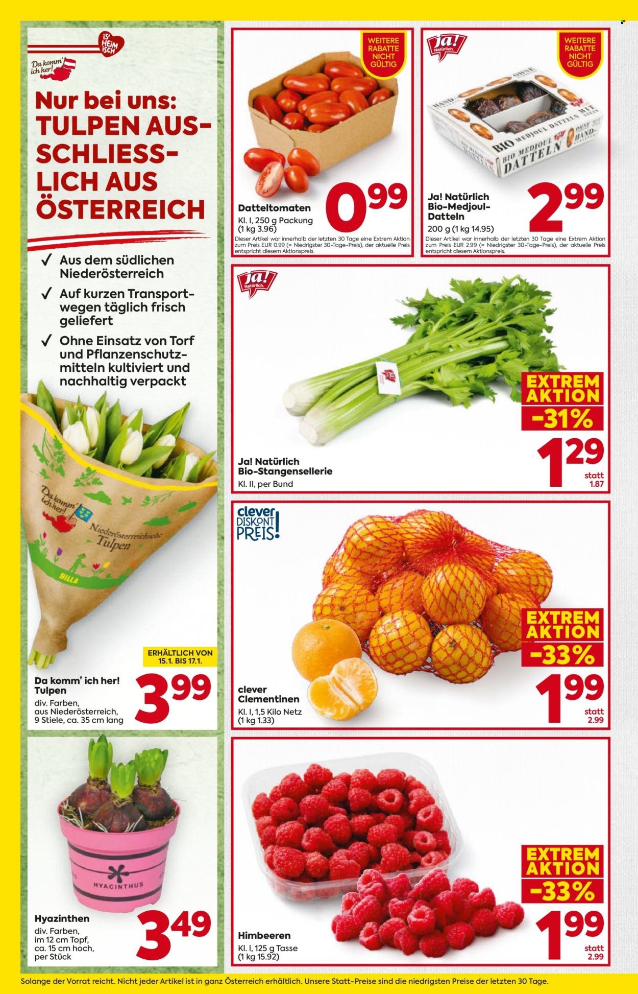 BILLA Flugblatt - Ab Donnerstag, 15.1.2026