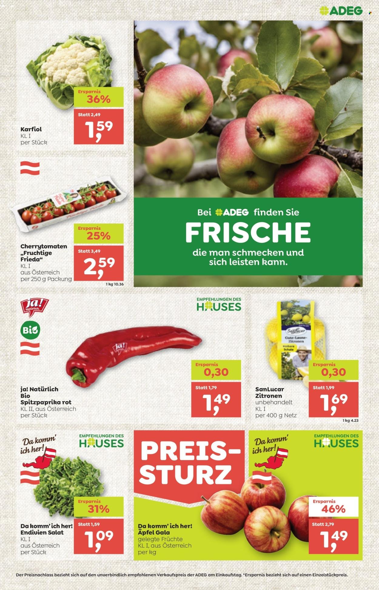 ADEG Flugblatt - Ab Freitag, 16.10.2026