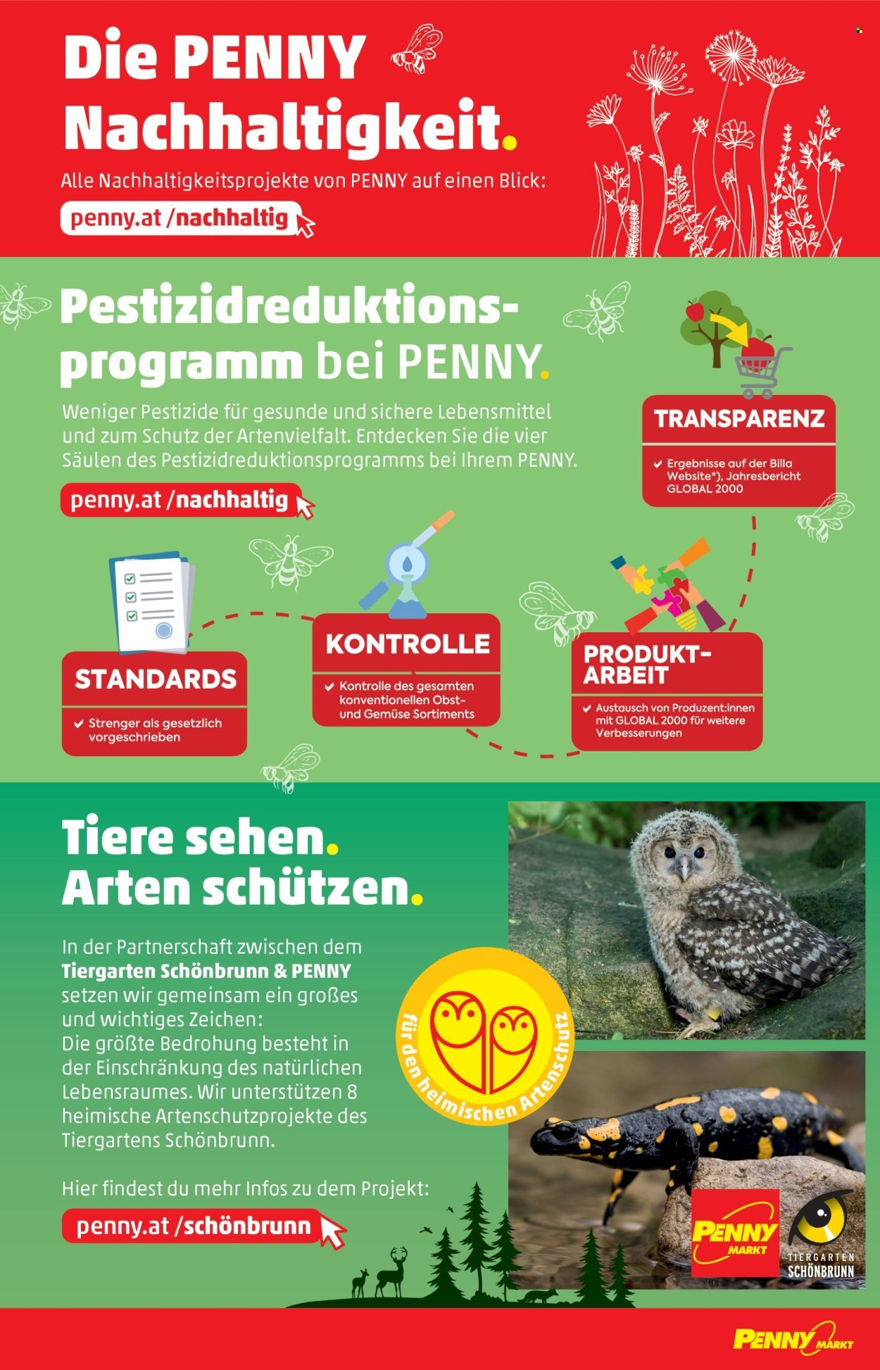 PENNY Flugblatt - Ab Donnerstag, 24.7.2025 (2025-07-24 - 2025-07-30)