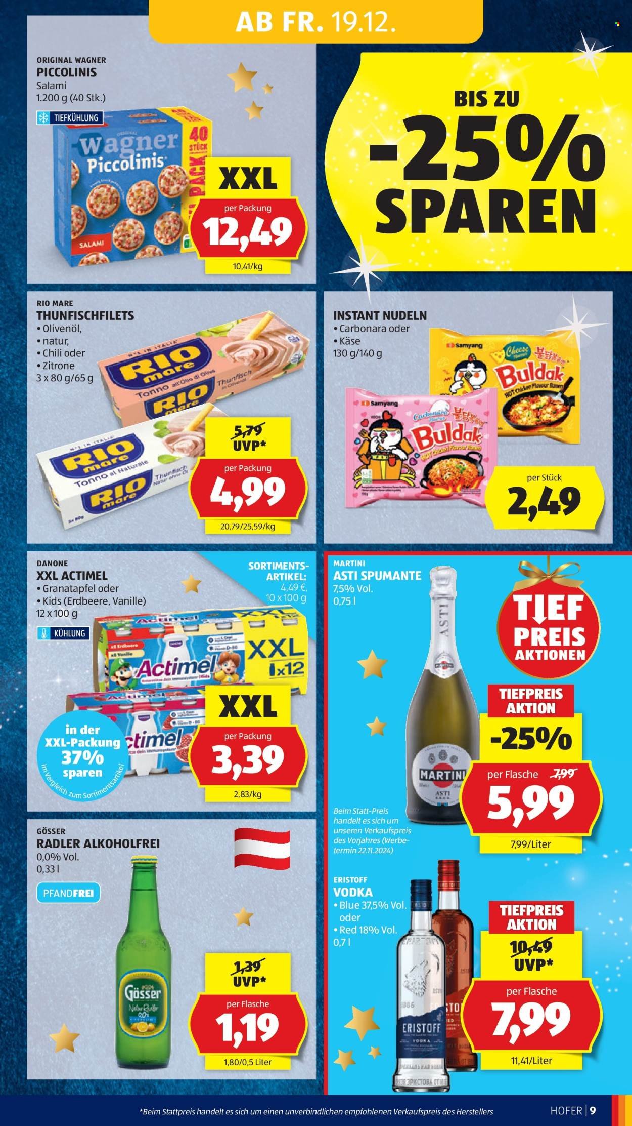HOFER Flugblatt - Ab Freitag, 19.12.2025