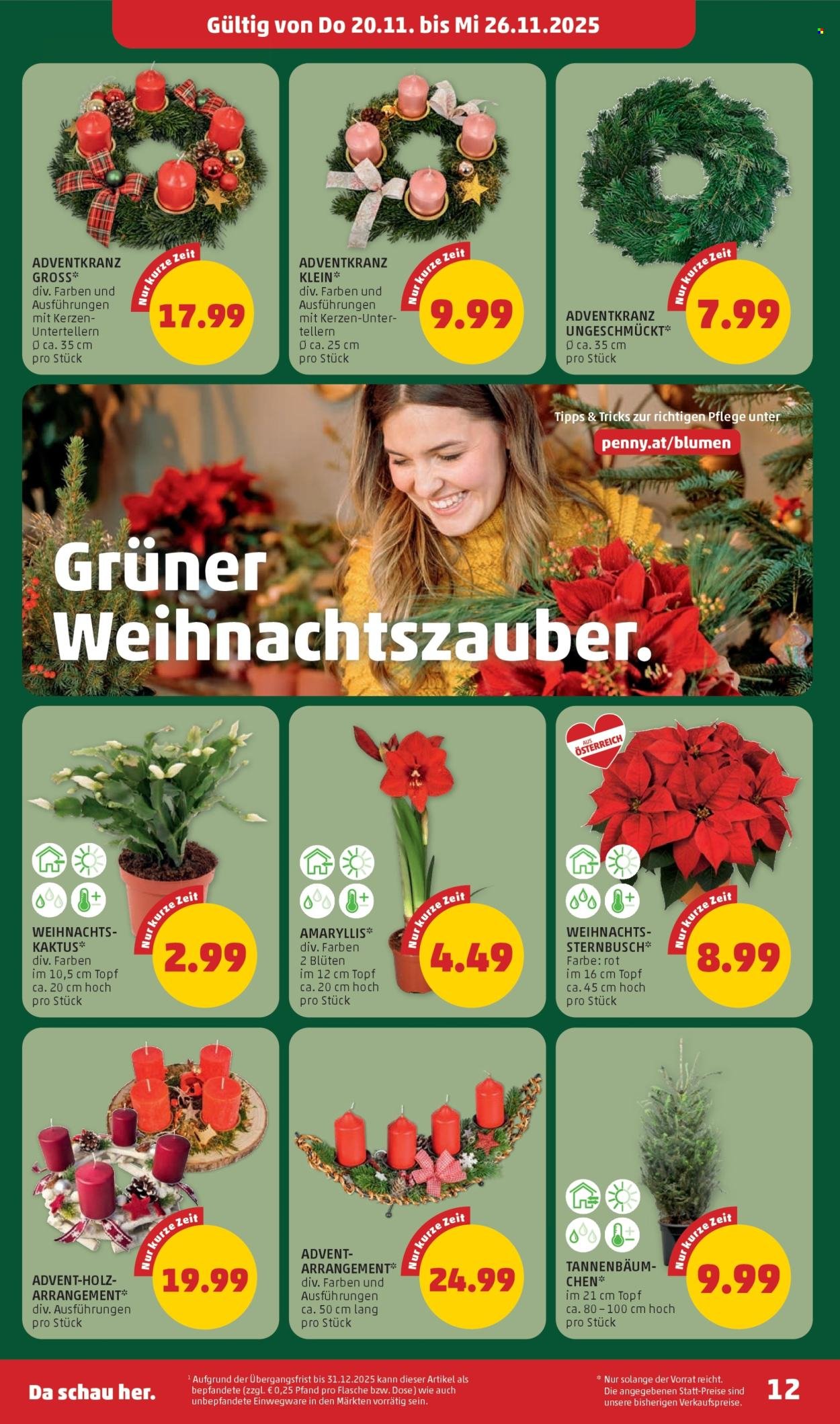 PENNY Flugblatt - Ab Donnerstag, 20.11.2025