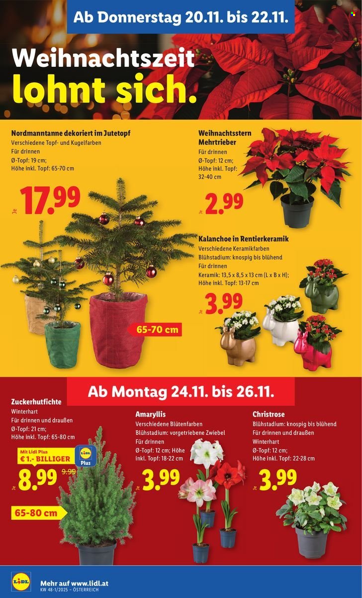 LIDL Flugblatt - Ab Donnerstag, 20.11.2025 (2025-11-20 - 2025-11-26)