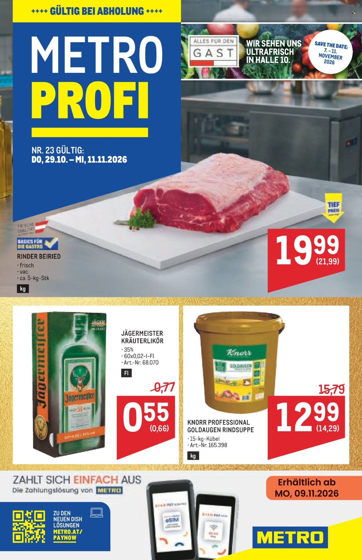 METRO Flugblatt - Profi