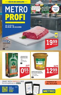 METRO Flugblatt - Profi