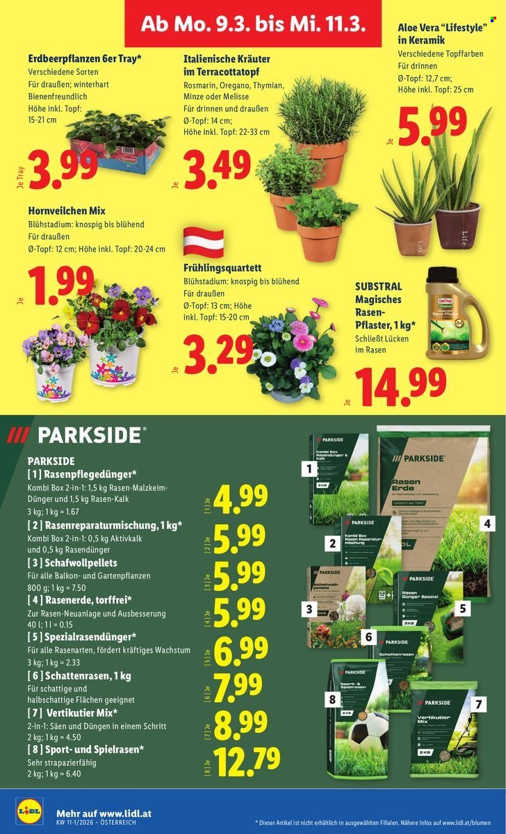 LIDL Flugblatt - Ab Donnerstag, 5.3.2026