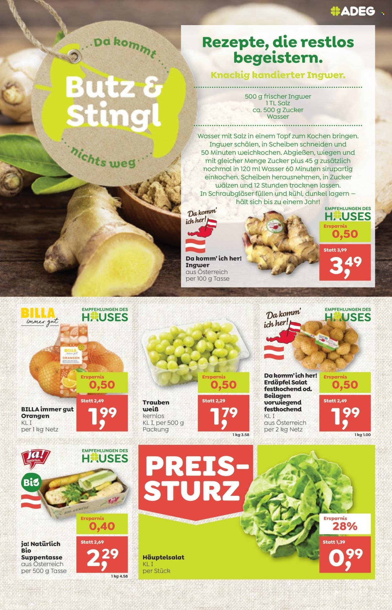 ADEG Flugblatt - Ab Donnerstag, 6.11.2025