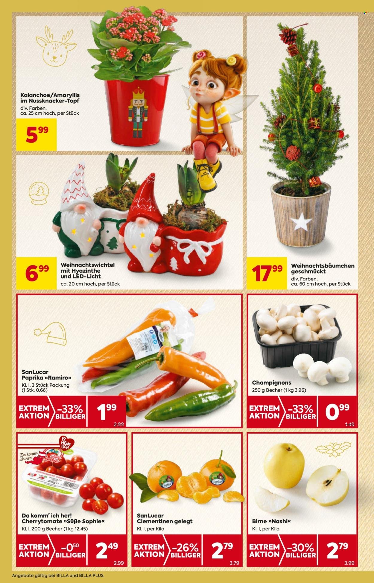 BILLA Flugblatt - Ab Donnerstag, 4.12.2025