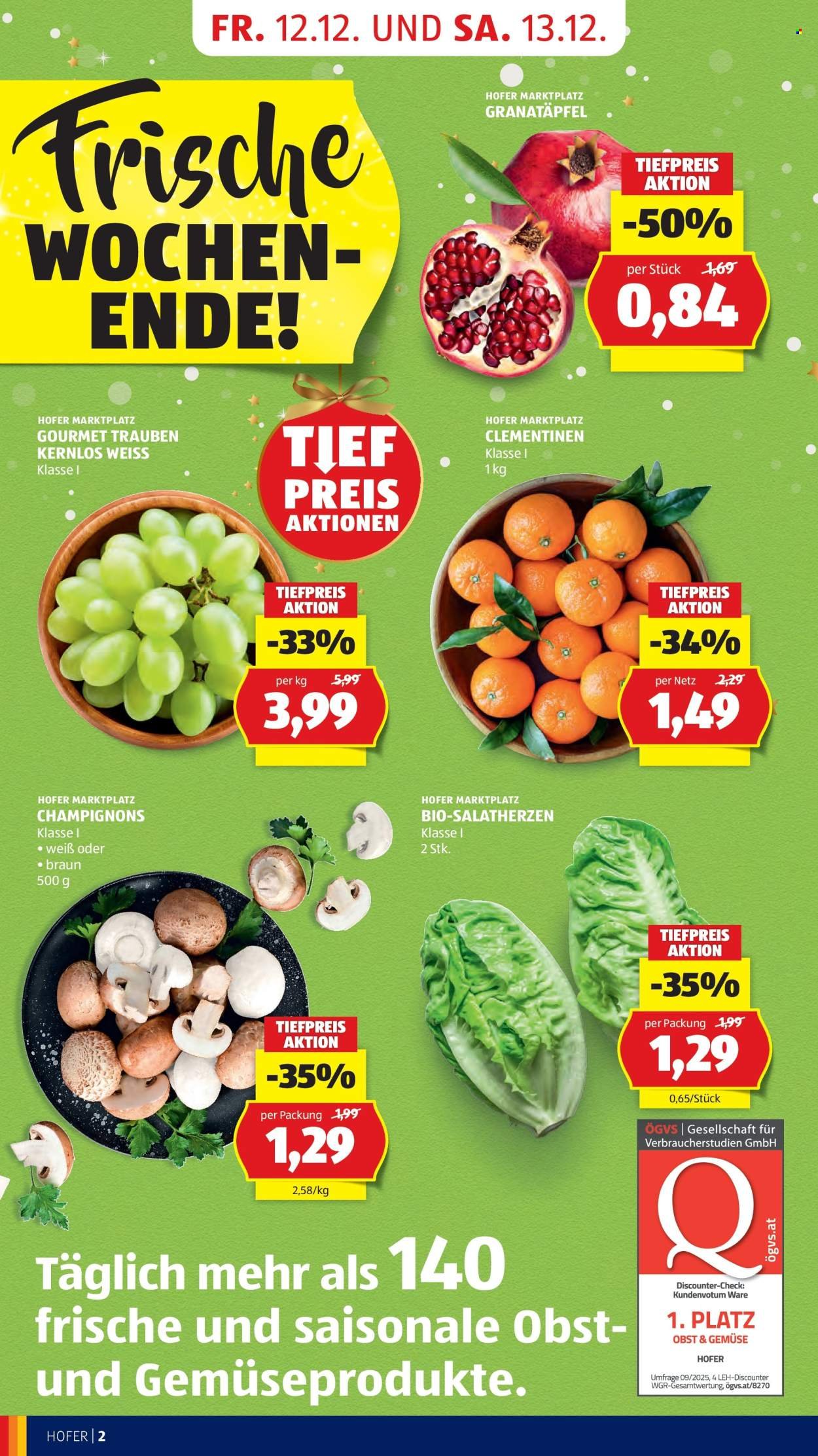 HOFER Flugblatt - Ab Freitag, 12.12.2025