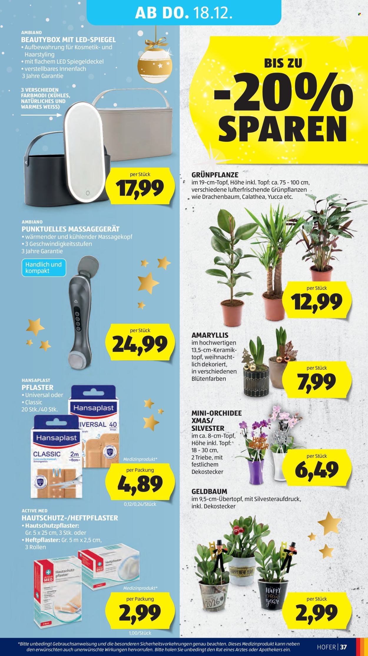 HOFER Flugblatt - Ab Freitag, 12.12.2025 (2025-12-12 - 2025-12-18) | 49