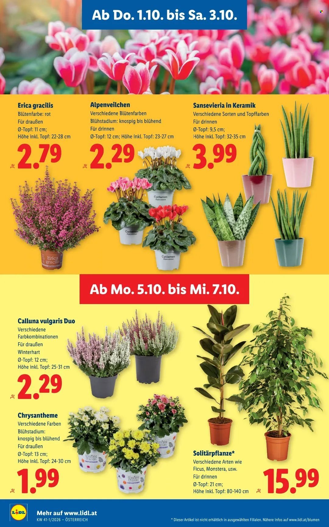 LIDL Flugblatt - Ab Donnerstag, 1.10.2026