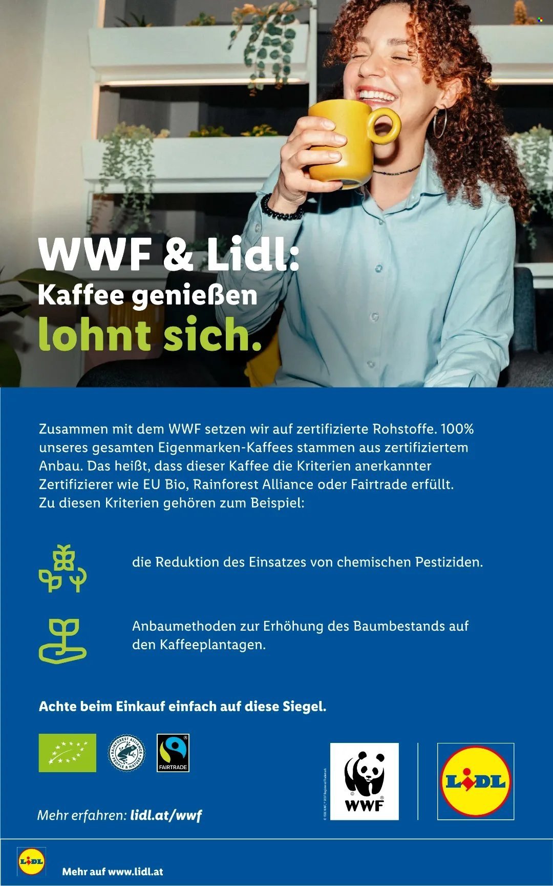 LIDL Flugblatt - Ab Donnerstag, 1.10.2026