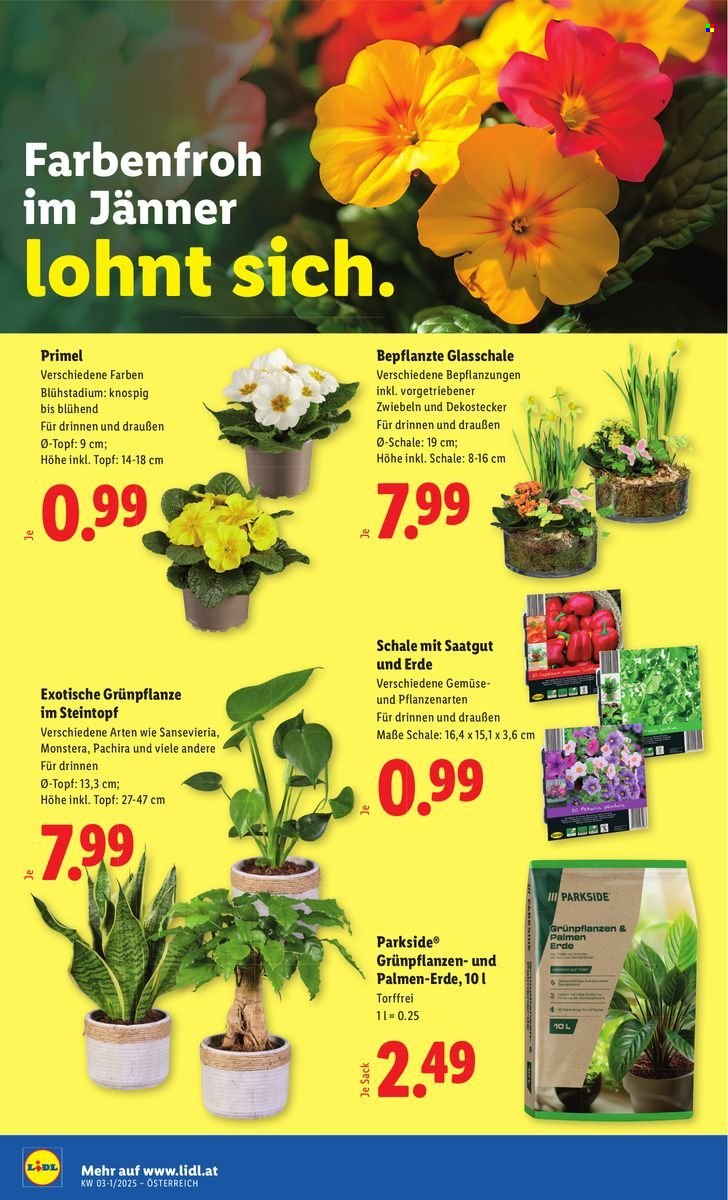 LIDL Flugblatt - Ab Donnerstag, 8.1.2026