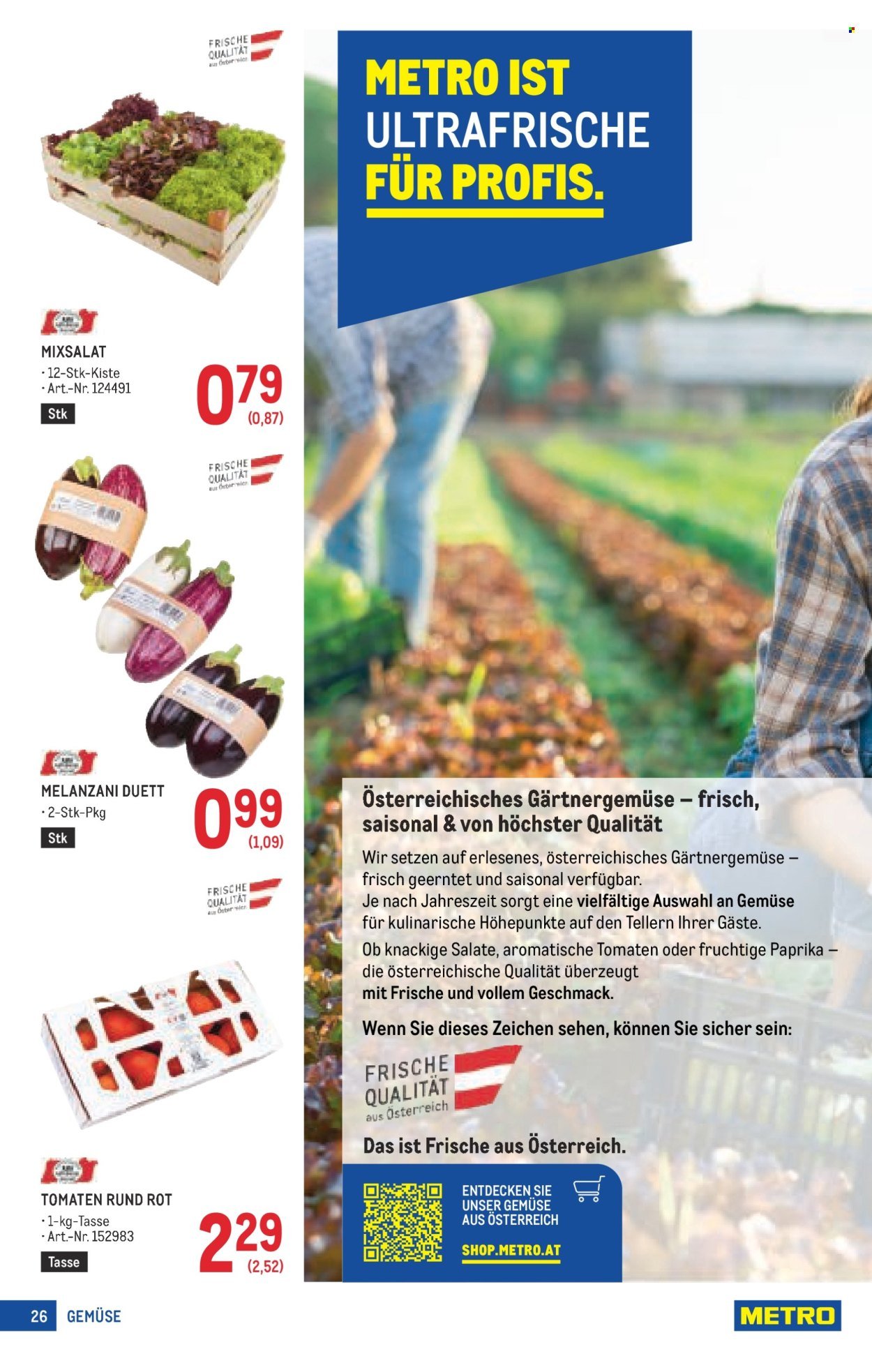 METRO Flugblatt - Profi